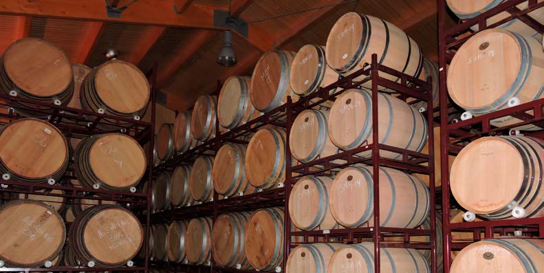 winery of DOP Yecla